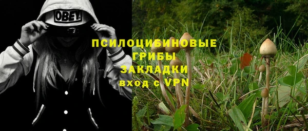 а пвп мука Алексеевка