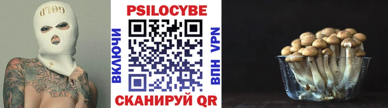 Псилоцибиновые грибы Magic Shrooms  дарнет шоп  Большой Камень 